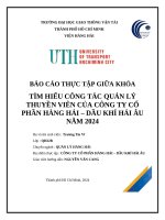Báo cáo thực tập giữa khóa tìm hiểu công tác quản lý thuyền viên của công ty cổ phần hàng hải – dầu khí hải Âu năm 2024