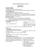 GIÁO ÁN LỚP 4 TUẦN 11