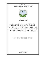 Bùi song Đan khảo sát khả năng bảo vệ saccharomyces boulardii của vi nang Đa nhân alginat   chitosan khóa luận tốt nghiệp dược sĩ