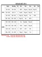 Thời khóa biểu lớp 5e