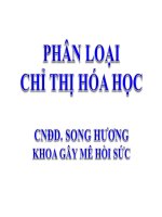 Chỉ thị hh