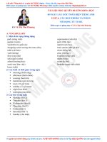 lấy gốc tiếng anh của cô mp n4