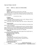 Tuần 16; t 31   31