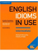 English idioms in use intermediate a4