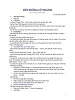 Hồi trống cổ thành