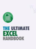 Excel ultimate handbook