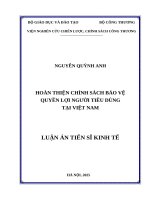 Hoàn thiện chính sách bảo vệ quyền lợi người tiêu dùng tại Việt Nam 
