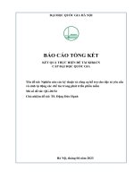 00060000797 nghiên cứu các kỹ thuật và công cụ hỗ trợ cho Đặc tả yêu cầu và sinh tự Động các chế tác trong phát triển phần mềm