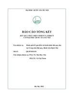 00060000771 Đánh giá kết quả Điều trị bệnh nhân Đột quỵ nhẹ tại trung tâm Đột quỵ, bệnh viện bạch mai