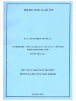 00060000762 Ổn Định phi tuyến các kết cấu tấm và vỏ composite thông minh nhiều lớp