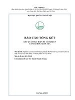 00060000705 nghiên cứu hoạt tính kháng khuẩn burkholderia pseudomallei từ một số loại trà, thảo dược và thực phẩm Ở việt nam