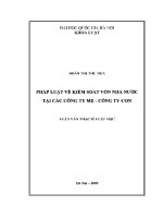 Luận văn pháp luật về kiểm soát vốn nhà nước tại các công ty mẹ công ty con