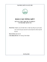 00060000703 nghiên cứu Ổn Định tĩnh và Đáp Ứng Động lực phi tuyến của các kết cấu pin mặt trời nanocomposite nhiều lớp thế hệ mới