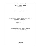 00060000742 các chính sách thúc Đẩy công nghiệp hoá, hiện Đại hoá Ở việt nam