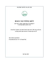 00060000726 Nghiên Cứu Thiết Kế Khái Niệm Lõi Lò Ads Công Suất Nhỏ Sử Dụng Nhiên Liệu Thorium Và Nhiên Liệu Tái Chế.pdf
