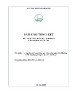 00060000743 nghiên cứu hoàn thiện quy trình công nghệ siêu hấp thụ (cdi) Ứng dụng trong xử lý nước sinh hoạt