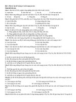 Đề cương giữa hki sử 11 hs