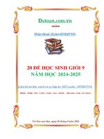 20 Đề học sinh giỏi toán lớp 9 năm 2024 2025 mới
