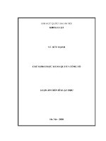 Luận văn chế Định thực hành quyền công tố