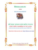Đề học sinh giỏi môn toán lớp 9 trắc nghiệm và tự luận