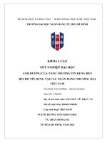 Ảnh hưởng của tăng trưởng tín dụng Đến rủi ro tín dụng tại các ngân hàng thương mại việt nam