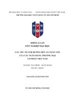 Các yếu tố Ảnh hưởng Đến an toàn vốn của các ngân hàng thương mại cổ phần việt nam