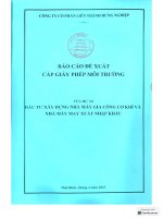 Báo cáo Đề xuất cấp giấy phép môi trường của dự Án Đầu tư xây dựng nhà máy gia công cơ khí và nhà máy may xuất nhập khẩu