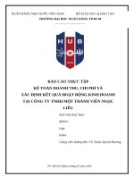 BÁO CÁO THỰC TẬP: KẾ TOÁN DOANH THU, CHI PHÍ VÀ XÁC ĐỊNH KẾT QUẢ HOẠT ĐỘNG KINH DOANH TẠI CÔNG TY TNHH MỘT THÀNH VIÊN NGỌC LIỄU