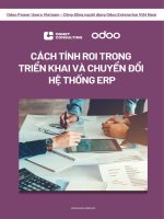 Cách tính ROI trong triển khai và chuyển đổi hệ thống ERP