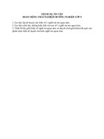 Đề cương Ôn tập cuối học kỳ ii   hđtn,hn 9