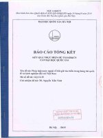 00060000454 pháp luật nước ngoài về bắt giữ tàu biển trong hàng hải quốc tế và kinh nghiệm Đối với việt nam