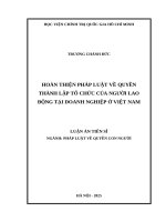 Hoàn thiện pháp luật về quyền thành lập tổ chức của người lao động tại doanh nghiệp ở Việt Nam