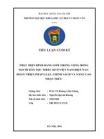 Thực hiện bình Đẳng giới trong cộng Đồng người dân tộc thiểu số Ở việt nam hiện nay hoàn thiện pháp luật, chính sách và nâng cao nhận thức