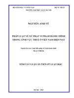 Tóm Tắt Tiếng Việt PHÁP LUẬT VỀ XỬ PHẠT VI PHẠM HÀNH CHÍNH TRONG LĨNH VỰC THUẾ Ở VIỆT NAM HIỆN NAY