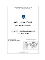 Tiểu luận cuối kỳ môn học khởi nghiệp tên dự Án mô hình kinh doanh sân bóng min