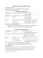 Present Simple Tense