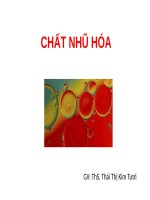 CHẤT NHŨ HÓA- CÔNG NGHỆ SẢN XUẤT DƯỢC PHẨM