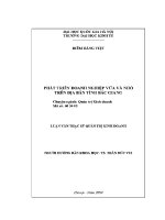 Luận văn thạc sĩ phát triển doanh nghiệp vừa và nhỏ trên Địa bàn tỉnh bắc giang
