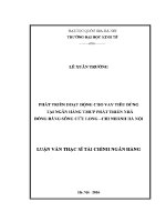 Luận văn thạc sĩ phát triển hoạt Động cho vay tiêu dùng tại ngân hàng tmcp phát triển nhà Đồng bằng sông cửu long chi nhánh hà nội