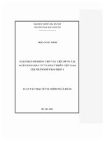 Luận văn thạc sĩ giải pháp mở rộng cho vay tiêu dùng tại ngân hàng Đầu tư và phát triển việt nam chi nhánh sở giao dịch 1