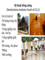 kỹ thuật trồng luồng