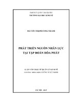 Luận văn thạc sĩ phát triển nguồn nhân lực tại tập Đoàn hòa phát