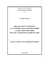 Luận văn thạc sĩ hiệu quả cho vay tiêu dùng tại chi nhánh ngân hàng nông nghiệp và phát triển nông thôn việt nam chi nhánh gia bình bắc ninh