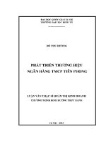Luận văn thạc sĩ phát triển thương hiệu ngân hàng tmcp tiên phong