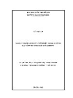 Luận văn thạc sĩ marketing mix cho sản phẩm Điện thoại di Động tại công ty tnhh thế giới di Động