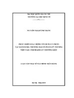 Luận văn thạc sĩ phát triển hoạt Động tín dụng cá nhân tại ngân hàng thương mại cổ phần kỹ thương việt nam chi nhánh lý thường kiệt