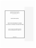 Luận văn thạc sĩ phân tích tình hình tài chính công ty cổ phần cảng quảng ninh