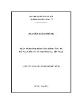 Luận văn thạc sĩ phân tích tình hình tài chính công ty cổ phần Đầu tư và thương mại tín phát
