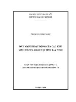 Luận văn thạc sĩ Đẩy mạnh hoạt Động của các khu kinh tế cửa khẩu tại tỉnh tây ninh