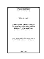 Luận văn thạc sĩ marketing sản phẩm thẻ tín dụng tại ngân hàng tmcp ngoại thương việt nam chi nhánh ba Đình